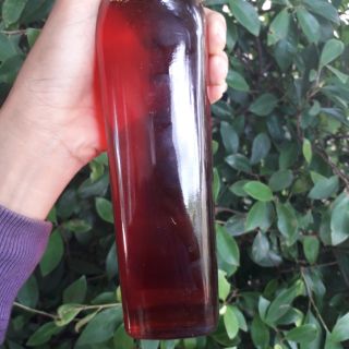 Dầu gấc-sachi