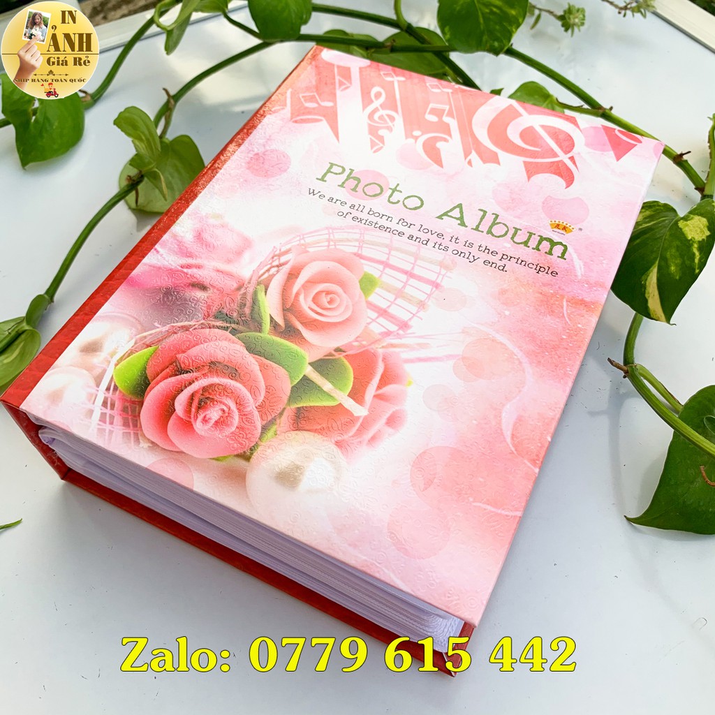 Album đựng 304 ảnh 10x15 bìa giấy cứng | BigBuy360 - bigbuy360.vn