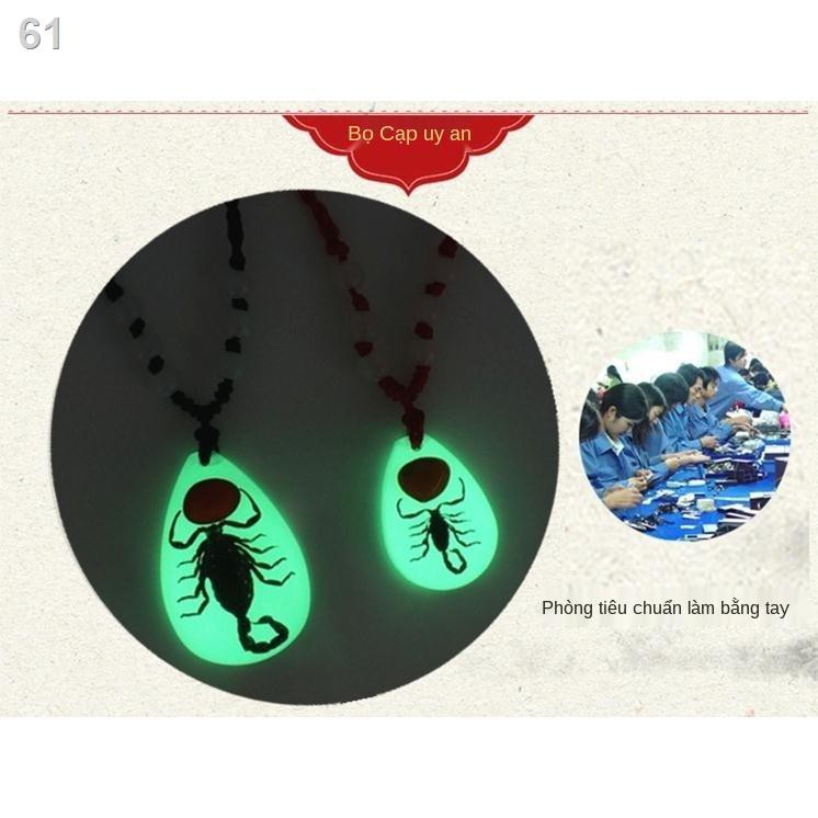 Vòng cổ bọ cạp phát sáng Hổ phách Mẫu vật thực tế Cặp đôi côn trùng Một mặt dây chuyền nam và nữ Huỳnh quang Vận