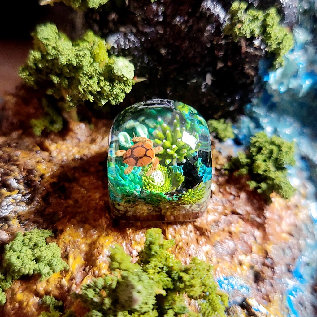 Keycap San Hô - Keycap Coral - Nút bàn phím cơ - Keycap xuyên sáng