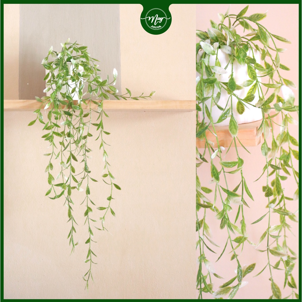 Cây giả,Chậu Rũ Cúc Tần trang trí dài ̀50cm