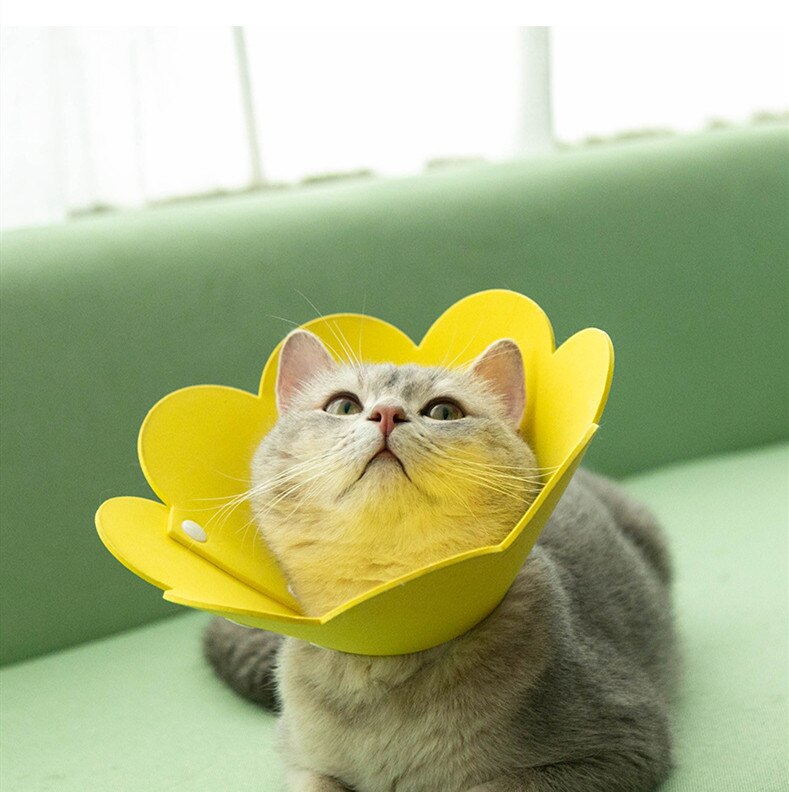Vòng Cổ Cho Mèo, Loa, Vòng Cổ Liếm, Vòng Cổ Nhẹ, Gửi Từ Thái Lan.