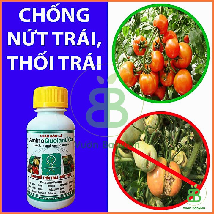 Phân Bón Lá Bổ Sung Canxi Chống Thối Trái, Nứt Trái 100ml