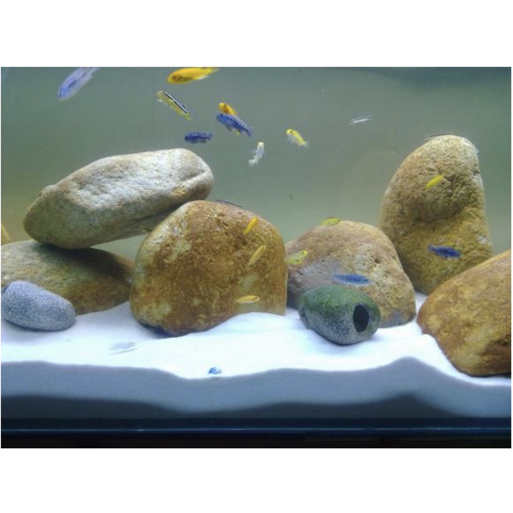 Cát Trắng Trang Trí - Phụ Kiện Bể Cá, Trang Trí Tiểu Cảnh, Thủy Sinh, Nuôi Gà - Chim