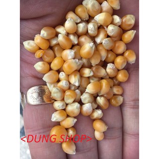 bắp nổ bắp rang bơ 1kg