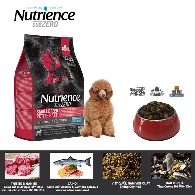 Thức Ăn Hạt Cho Chó Poodle - Nutrience Subzero Bao 500g (Da Lông Bóng Mượt) - Thịt Bò, Cá Hồi, Rau Củ Trái Cây Tự Nhiên
