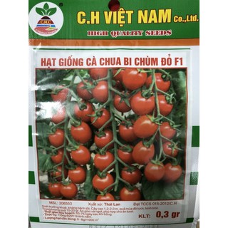 Hạt giống Cà Chua F1 🌱