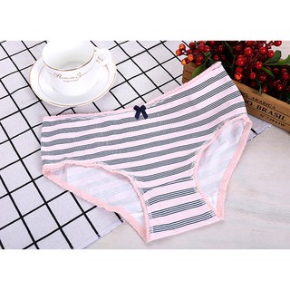 Combo 6 Quần lót cotton cao cấp QL5