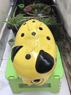 Heo đất chó đóm vàng size L ( 24x15x17 )
