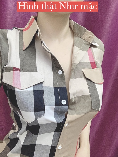 SMI TN BBR TÚI HỘP | BigBuy360 - bigbuy360.vn