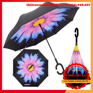 Ô Mở Ngược - Gấp Ngược Hoạ Tiết 3D