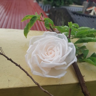 Hoa cài áo handmade cao cấp