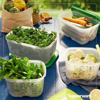 Bộ 4 hộp trữ mát Ventsmart cao cấp Tupperware