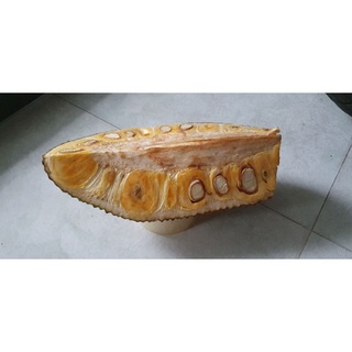 mít thái mít quê chín cây