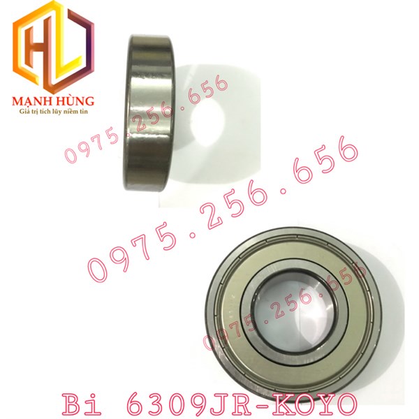 Bi 6309JR-KOYO