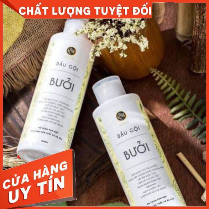 Combo 2 Dầu gội bưởi Nga Hoàng [chính hãng]-Dầu gội bưởi ngăn rụng tóc, hết gàu, hết ngứa, phục hồi chân tóc yếu, hư tổn