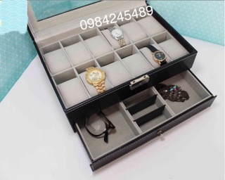Chậu Lan hồ Điệp Trắng Tím