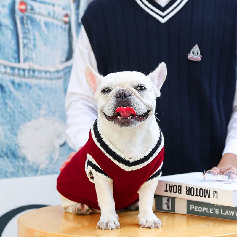 Áo Khoác Sweater Dệt Kim Thời Trang Thu Đông Cho Thú Cưng