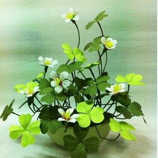 Hạt Giống Cỏ Ba Lá ( Cỏ 3 Lá) - Túi 50 hạt