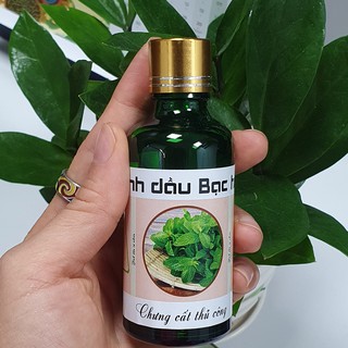 Tinh dầu sả, quế, bạc hà, tràm 50ml