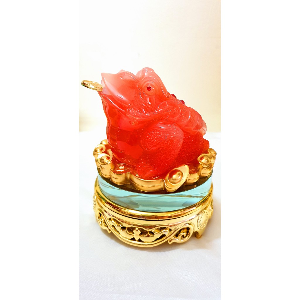 Cóc ngậm tiền vàng, thiềm thừ phong thủy | BigBuy360 - bigbuy360.vn