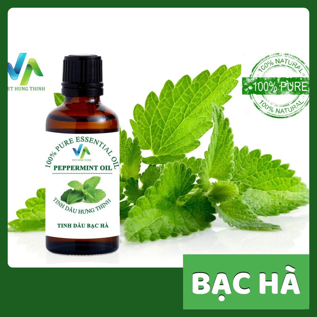 Tinh Dầu Bạc Hà Nguyên Chất Peppermint The Mát - Đuổi Chuột - Xông Phòng - Hỗ Trợ Hô Hấp