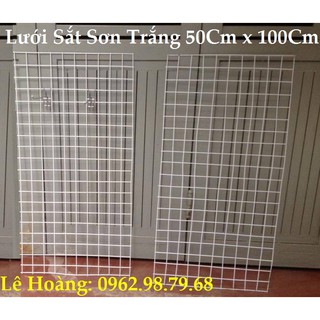 Lưới Sắt 50x100Cm 3 Tấm và 150 Tay Cài 10Cm