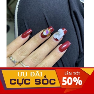Hoa cúc nhọn - Hoa bột nail