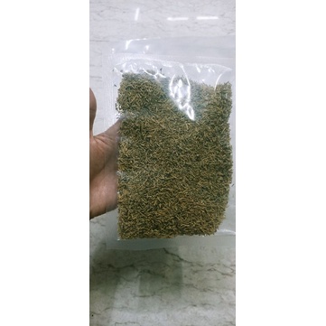 Lá Oregano ( kinh giới khô)