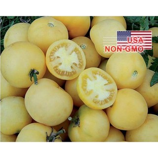 Hạt Giống Cà Chua Trắng Bi Iowa Solanum Lycopersicum