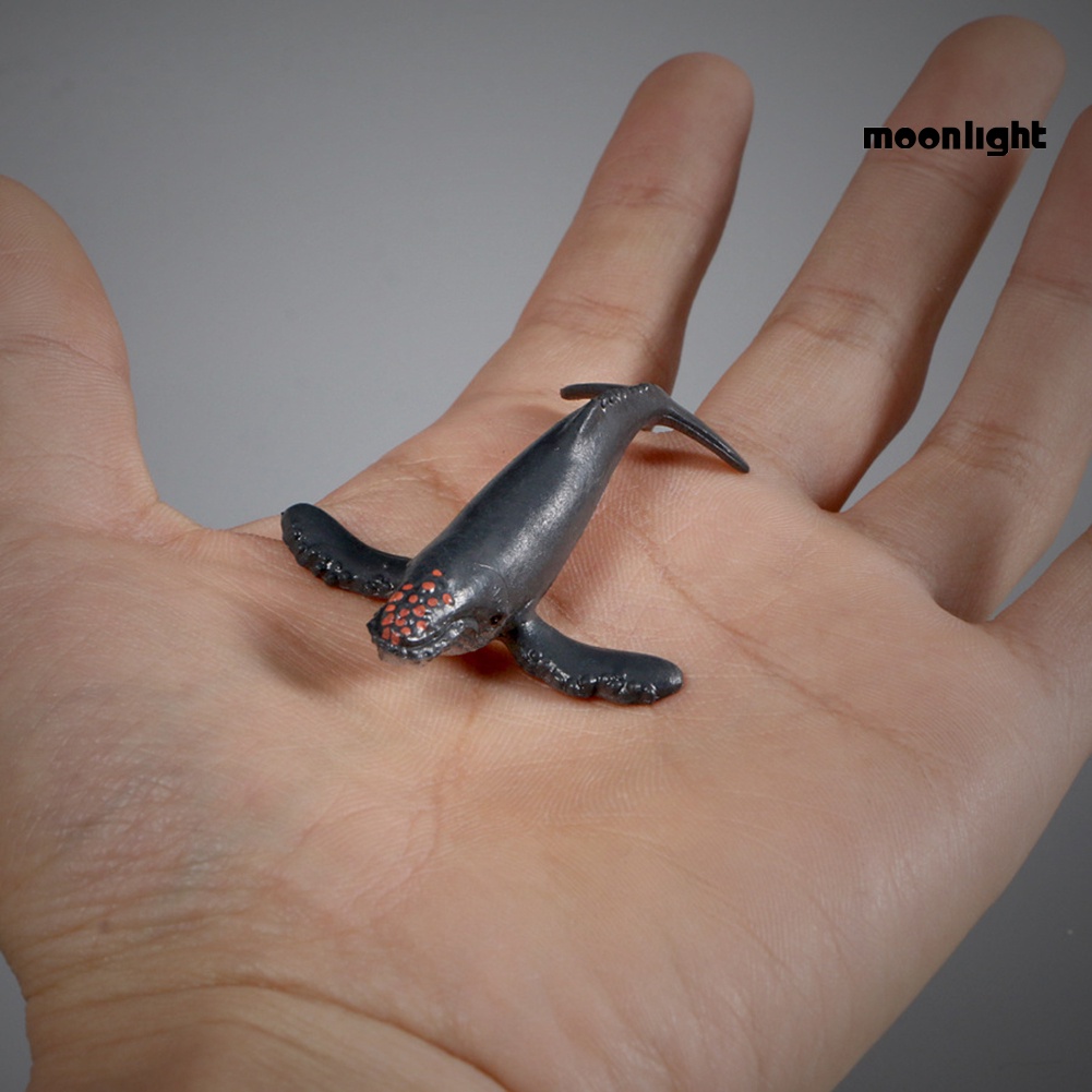 Bộ 12 mô hình cá voi / cá mập / cá voi mini bằng pvc độc đáo cho bé