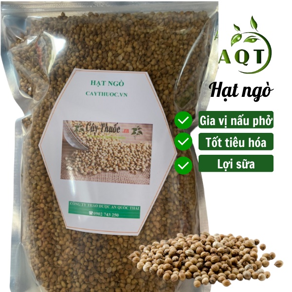 1KG Hạt Ngò Rí (Hạt Mùi Khô) Thơm, Sạch, Gia Vị Nấu Phở, Nấu Sâm Thơm Ngon