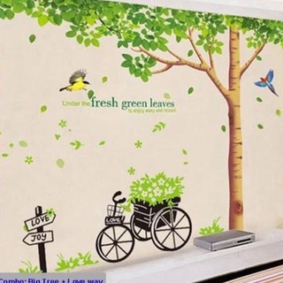 Decal dán tường big tree hpm1098 zooyoo