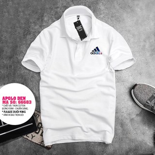 Áo thun nam polo in có cổ