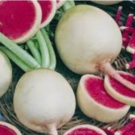 Shop 1K - Hạt Giống Củ Cải Ruột Đỏ - 30 Hạt  - Tặng kèm hạt hướng dương lùn + thuốc kích mầm rễ nhanh