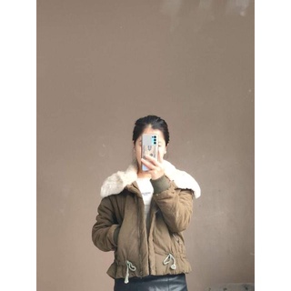 Áo phao béo, parka link chốt live