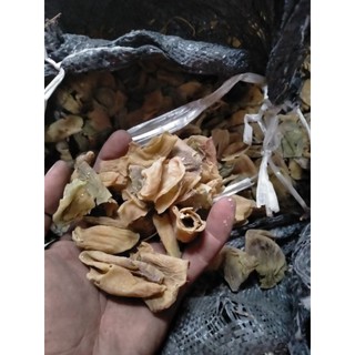 Kê kim nội màng mề gà khô 1kg