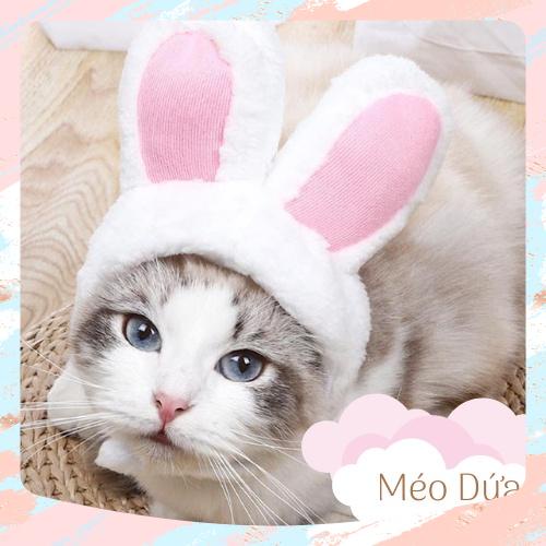Mũ nón hình tai thỏ trắng hồng xinh xắn và dễ thương cho chó mèo