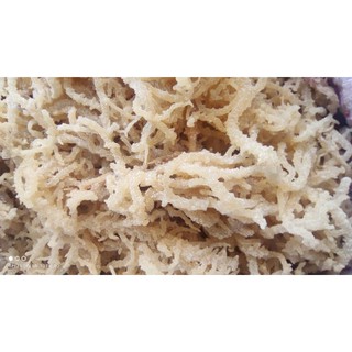 1kg rong sụn (rong chân vịt)