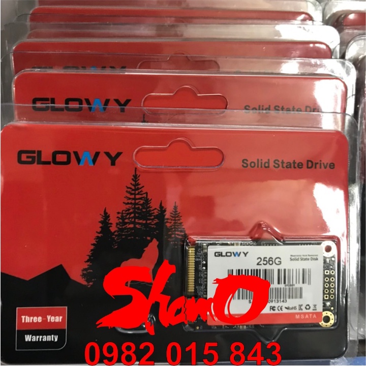 Ổ cứng SSD mSATA Gloway 256GB (Sata3.0) – CHÍNH HÃNG – Bảo hành 3 năm