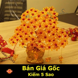 [SP TIÊN ÍCH]  Cây kim tiền phát tài phát lộc vàng cao cấp