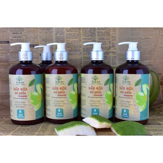 Combo giá SỈ 5 Chai dầu gội vỏ bưởi cao cấp Premium AmeGreen 600ml giảm rụng tóc