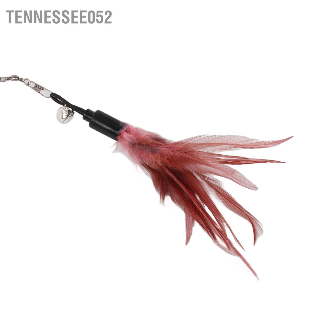 Tennessee052 Đồ chơi mèo tương tác Kháng vết cắn Mèo có thể thu vào Đũa phép chuông cho con 180cm / 70 9in