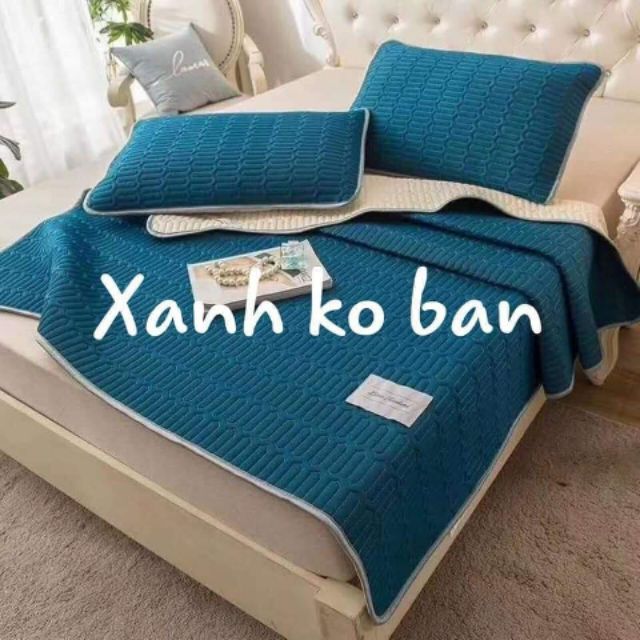 Chiếu điều hòa cao su non