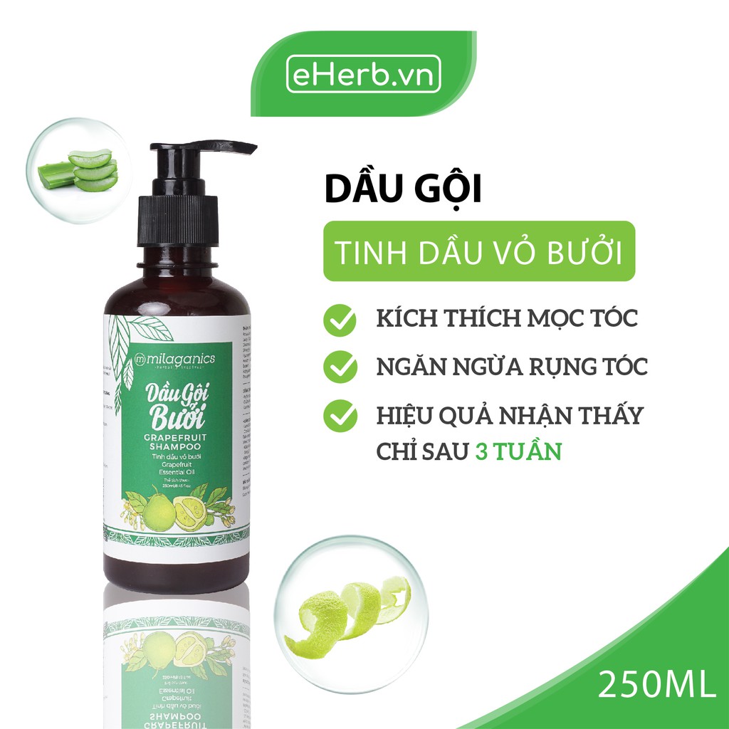 Combo 2 Dầu Gội Bưởi Làm Sạch Da Đầu & Kích Thích Mọc Tóc Từ Tinh Dầu Bưởi Nguyên Chất MILAGANICS 250ml (Chai)