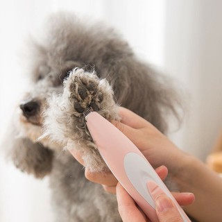 Tông đơ cạo lông bàn chân cho thú cưng