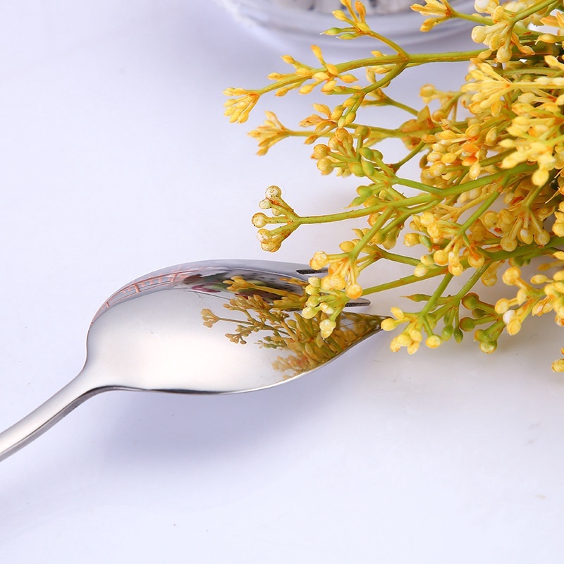 1 Thìa, Nĩa Bằng Thép Không Gỉ 2 Trong 1