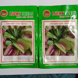 Cung Cấp Hạt giống cây bẫy kẹp bắt côn trùng LUCKY SEEDS - 5 hạt hạt đẹp