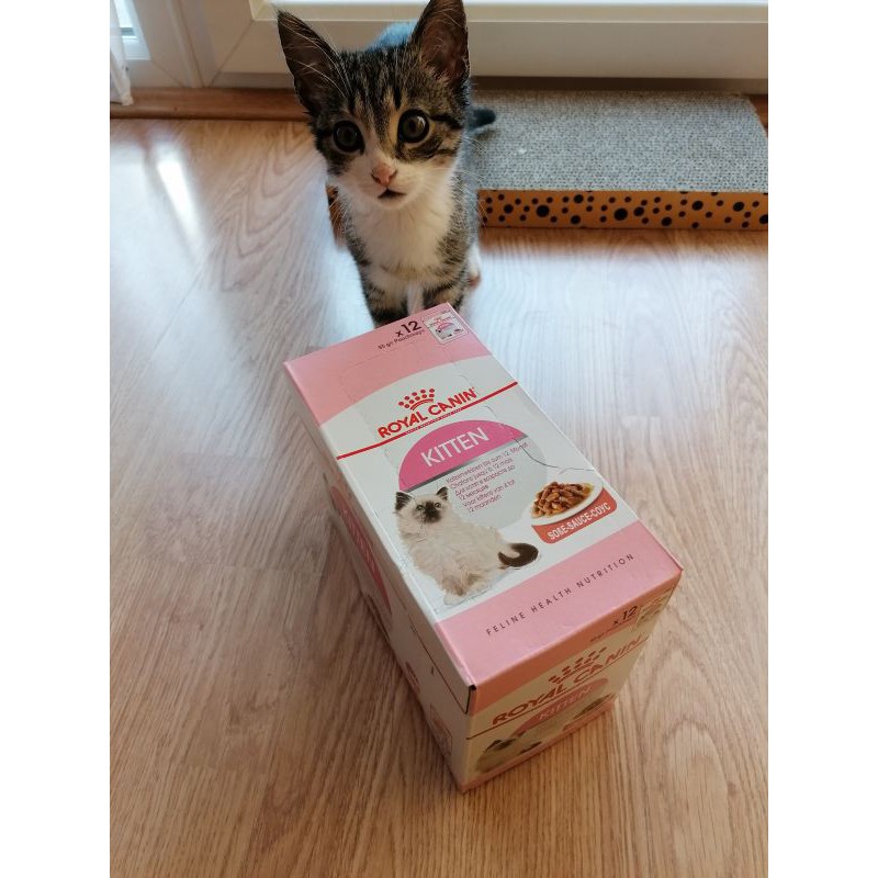 [CHÍNH HÃNG] ROYAL CANIN - KITTEN INSTINCTIVE PATE CHO MÈO CON - GÓI 85G