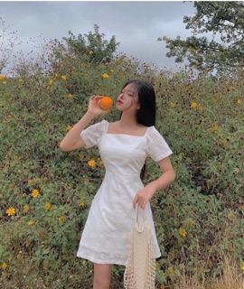 Đầm Trắng Hoa Cúc